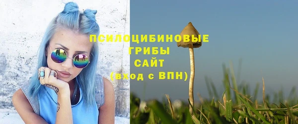 Альфа ПВП Осташков
