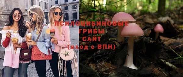 Альфа ПВП Осташков