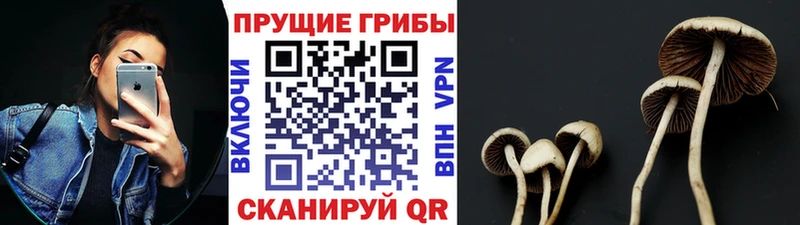 Галлюциногенные грибы Magic Shrooms Краснослободск